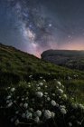 Fiori campo bianco ed erba verde sulla collina con cielo luminoso colorato con via lattea su sfondo — Foto stock