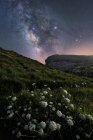 Flores de campo branco e grama verde na colina com céu brilhante colorido com forma leitosa no fundo — Fotografia de Stock