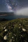 Flores de campo branco e grama verde na colina com calma rochosa vazia beira-mar e colorido céu brilhante com forma leitosa no fundo — Fotografia de Stock