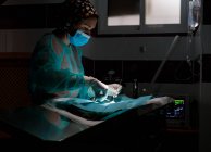Side view of female veterinarian in uniform and gloves using tools and performing surgery on animal in modern clinic — Stock Photo