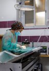 Вид сбоку женщины-ветеринара в форме и перчатках с помощью инструментов и проведения операции на животном в современной клинике — стоковое фото