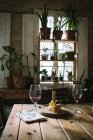 Glasses with red wine placed near cheese on wooden table in rustic restaurant with potted green plants on window — Stock Photo