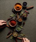 Top view of crop unrecognizable person holding cinnamon sticks near pot with red paprika powder over gray table with set of assorted aromatic spices — Stock Photo