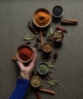 Top view of crop unrecognizable person holding pot with red paprika powder over gray table with set of assorted aromatic spices — Stock Photo