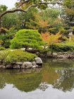 Осінні дерева біля ставка в східному саду — стокове фото