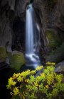 Живописный пейзаж с водопадом, падающим в скалистом овраге, покрытом зеленым мхом и растениями листвы в канадской сельской местности — стоковое фото