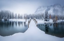 Beau paysage hivernal canadien avec pont enneigé sur une eau calme avec forêt de sapins et montagnes enneigées brumeuses en arrière-plan — Photo de stock