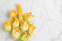 Vista superior de flores de abobrinha amarela fresca flores dispostas em mesa de mármore branco na cozinha — Fotografia de Stock