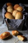 Biscoitos Madeleine caseiros gostosos tradicionais colocados no recipiente preto com guardanapo na mesa de madeira — Fotografia de Stock