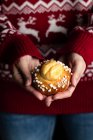 Crop female in red christmas sweater and jeans holding homemade pastry and demonstrating tasty fresh buns with white sprinkles — Stock Photo