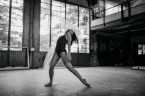 Драматична жіноча танцівниця в чорному боді-костюмі виконує чуттєвий танець з тюлем під час тренування наодинці в легкій просторій студії — стокове фото