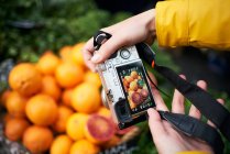 Сверху анонимный пользователь с цифровой фотокамерой фотографирует спелые апельсиновые фрукты во время посещения продуктового рынка — стоковое фото
