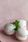 Dessert russe traditionnel Zefir blanc fait maison avec menthe sur fond rose — Photo de stock