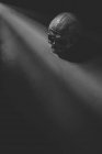 Сверху черно-белый древний человеческий череп помещен рядом с лучами солнечного света в темной комнате — стоковое фото