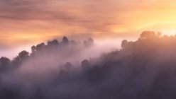 Raue Gebirgskette mit Bäumen vor hellem Sonnenaufgangshimmel am nebligen Morgen in der Natur — Stockfoto