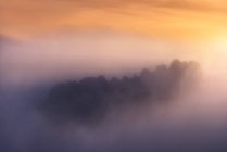 Грубый горный хребет с деревьями, расположенными на фоне ясного солнечного неба в туманное утро на природе — стоковое фото