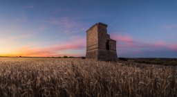 Aged broken tower located in rye field against cloudy sundown sky in countryside — Stock Photo