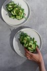 Persona sosteniendo tostadas con verduras verdes - foto de stock