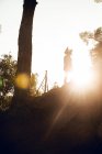 Неузнаваемый горный велосипедист, стоящий на вершине холма во время заката в лесу — стоковое фото