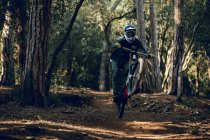 Homem irreconhecível no capacete, luvas e óculos de proteção pulando fazendo chicote truque downhill durante a prática de mountain bike na floresta de madeira — Fotografia de Stock