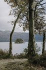 Beau paysage tranquille de lac entouré de forêts verdoyantes et de montagnes brumeuses par une journée nuageuse d'automne en Écosse — Photo de stock