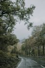 Paesaggio cupo con strada asfaltata umida sinuosa che corre via attraverso la foresta verde in terreni montuosi in tempo coperto nella campagna scozzese — Foto stock
