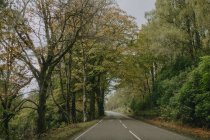 Сцени з вигнутою асфальтовою дорогою проходять через зелені ліси в гірській місцевості в спеку в шотландській сільській місцевості. — стокове фото