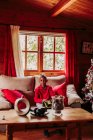 Задоволена чорна дівчина тримає іграшку в руках і дивиться на камеру, сидячи на дивані біля вікна в затишній вітальні з різдвяними прикрасами — стокове фото