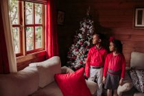 Deux filles noires regardant la caméra avec un arbre de Noël derrière — Photo de stock
