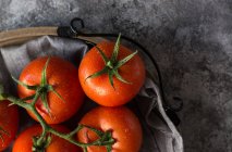 Desde arriba de tomates húmedos y limpios colocados sobre una servilleta de tela gris sobre un fondo de mesa de hormigón gris - foto de stock