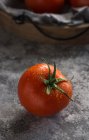De dessus de tomates propres humides placées sur une serviette en tissu gris sur fond de table en béton gris — Photo de stock
