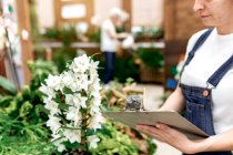 Crop unrecognizable adult woman writing on clipboard while standing near plant with white flowers during work in hothouse — Stock Photo