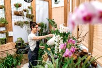 Вид збоку молодої жінки садівник посміхається і поливає квітучі квіти і рослини під час роботи в дерев'яній оранжереї — стокове фото