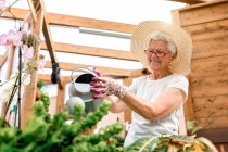 From below cheerful elderly gardener smiling and watering green plants on wooden terrace — Stock Photo