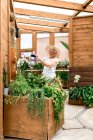 Веселий літній садівник посміхається і поливає зелені рослини на дерев'яній терасі — стокове фото