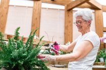 Vista laterale della donna anziana che sorride e taglia foglie di felce in vaso mentre lavora in serra — Foto stock