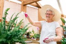 Cheerful elderly gardener smiling and watering green plants on wooden terrace — Stock Photo
