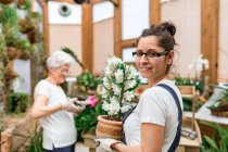 Mujer mirando a la cámara y llevando flor en maceta mientras la señora madura corte hojas de plantas durante el trabajo en invernadero de madera - foto de stock