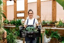 Donna adulta felice sorridente guardando la fotocamera e portando scatola di plastica con succulente mentre si lavora in serra di legno — Foto stock