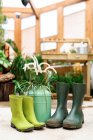 Herramientas de jardinería colocadas en el suelo cerca de botas de goma y regadera en invernadero - foto de stock