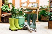 Attrezzi da giardinaggio posizionati sul pavimento vicino a stivali di gomma e annaffiatoio in serra — Foto stock