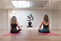 Back view of balanced calm women and man sitting on lotus pose with mudra concentrated after on yoga class — Stock Photo