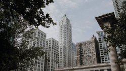 Von unten Chicagoer Stadtbild eingerahmt von Baumzweigen mit modernen Wolkenkratzern vor blauem wolkenverhangenem Himmel an Sommertagen — Stockfoto