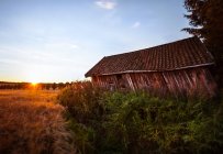 Pintoresco paisaje rural con antiguo granero de madera situado cerca del campo durante la puesta del sol con cielo azul en el día de otoño en el campo - foto de stock