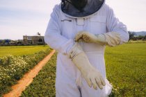 Crop unrecognizable beekeeper in white costume putting on protective gloves while standing on green grassy meadow and preparing for working on apiary — Stock Photo