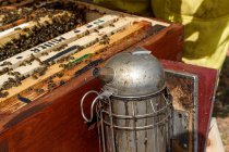Крупный план выветрившейся ржавой металлической пчелы, курящей рядом с сотовой рамой, полной пчел во время уборки меда на пасеке — стоковое фото