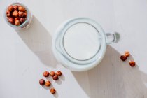 Jar of milk and hazelnuts on table — Stock Photo