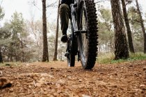 Cyclist riding bike on rocky path in forest — Stock Photo