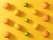 Draufsicht auf verschiedene frische Zitrusfrüchte auf buntem gelben Hintergrund — Stockfoto