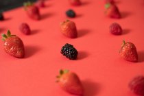 Zarzamora fresca colocada en línea con fresas maduras en composición de bayas de verano sobre fondo de superficie roja - foto de stock